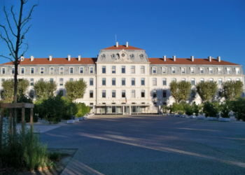 Une cellule pour accompagner les entreprises