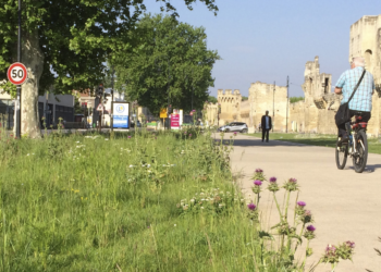 Quelle place pour la nature en ville?