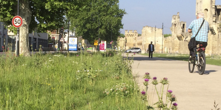 Quelle place pour la nature en ville?