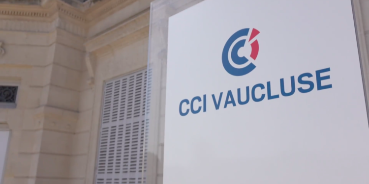 Tout savoir sur les élections de la CCI 84