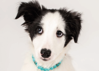 Bijoux thérapeutiques