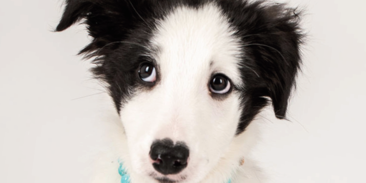 Bijoux thérapeutiques