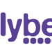 Atterrissage forcé pour Flybe