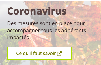 La MSA garantit la continuité de ses prestations