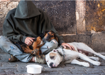 Mobilisation pour les sans-abri