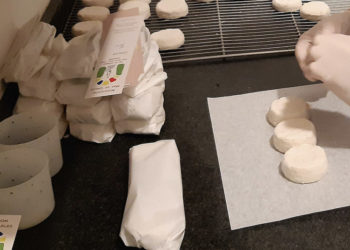 Le Mas de Carles a besoin de Vous !