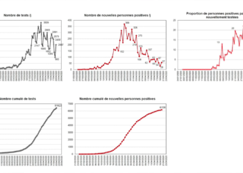 Didier Raoult confirme la diminution du nombre de cas diagnostiqués au sein de l’IHU Méditerranée Infection
