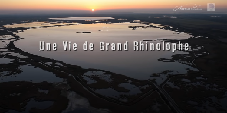 Documentaire : une vie de chauve-souris en accès libre