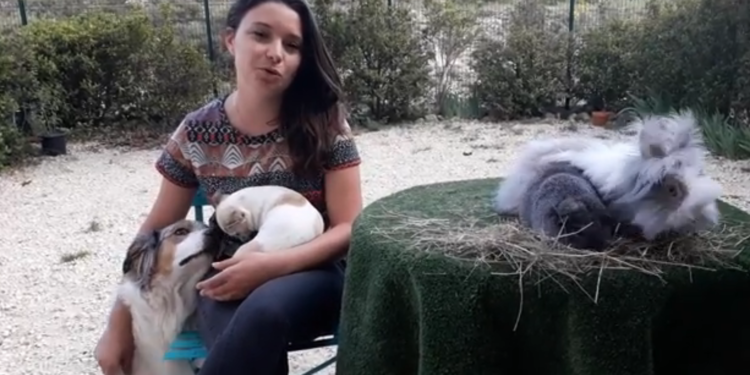 Une cagnotte solidaire pour soutenir Horizon Médiation Animale