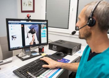 Les vétérinaires autorisés à utiliser la télémédecine