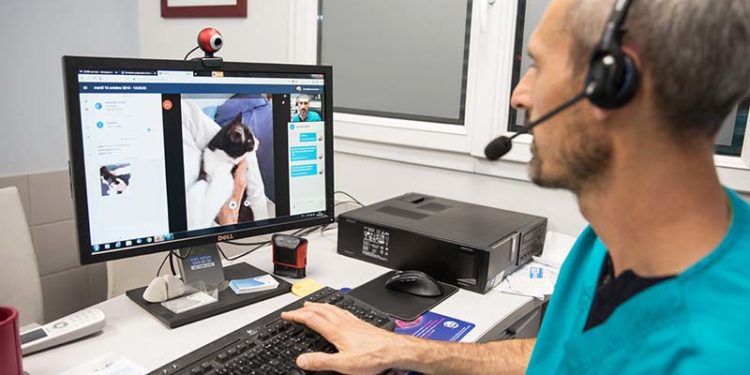 Les vétérinaires autorisés à utiliser la télémédecine