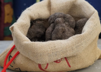 Carpentras : ouverture du marché aux truffes d’été
