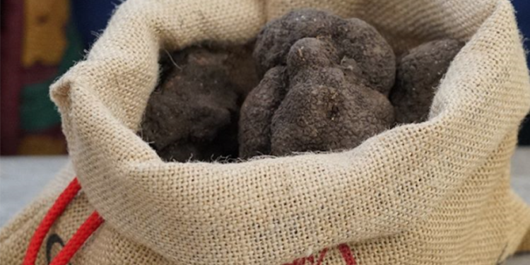 Carpentras : ouverture du marché aux truffes d’été