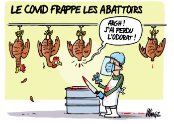 Le covid frappe les abattoirs vu par Wingz pour l’Echo du Mardi