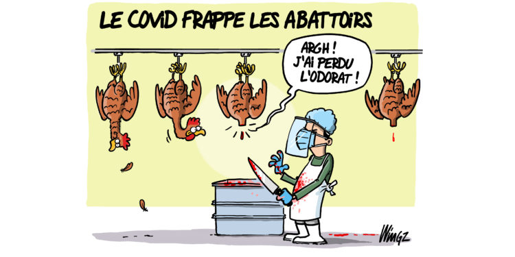 Le covid frappe les abattoirs vu par Wingz pour l’Echo du Mardi