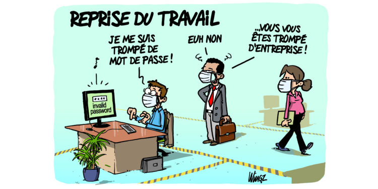 Le retour en entreprise vu par Wingz pour l’Echo du Mardi !