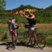Parc naturel régional du Luberon, déconfinez vos vélos !