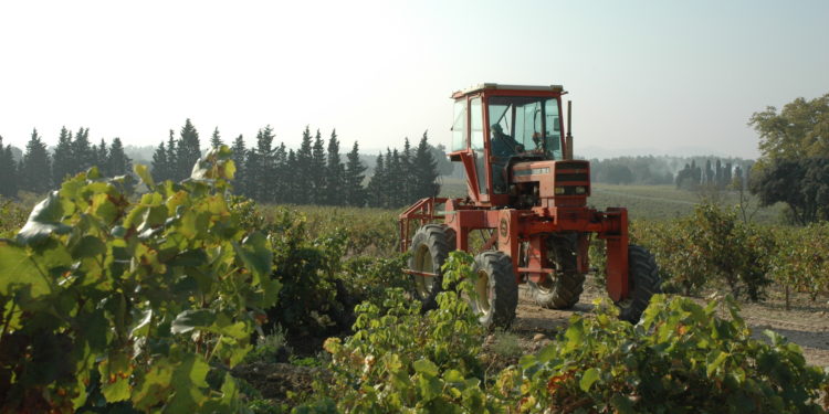 Le Gouvernement annonce une 1re aide exceptionnelle à la filière viticole