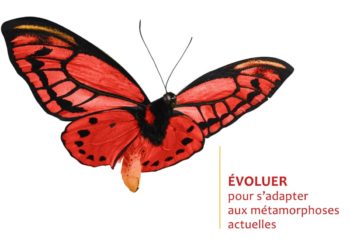 Avignon : Axiome Associés parie sur les ailes du papillon         pour dompter l’économie