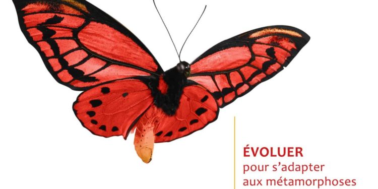 Avignon : Axiome Associés parie sur les ailes du papillon         pour dompter l’économie