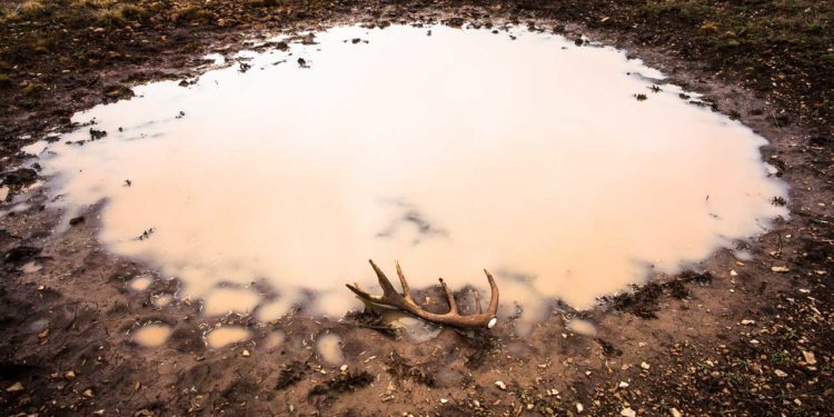 ‘Cosmos’, le livre de photographies qui rend hommage au Luberon