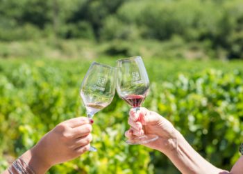 Les vins de la Vallée du Rhône face au monde d’après