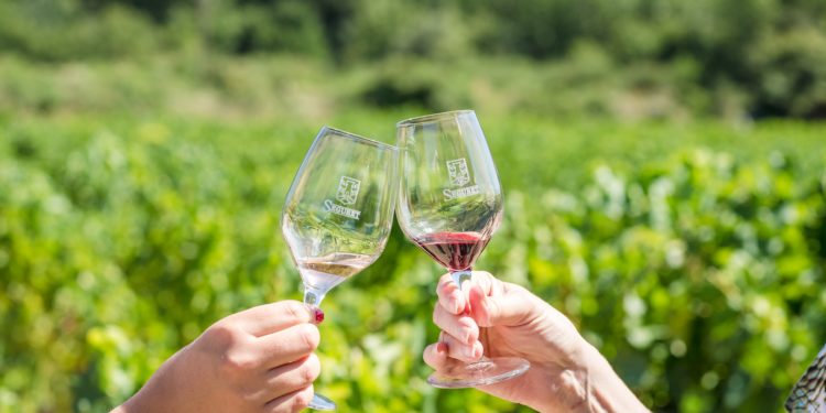 Les vins de la Vallée du Rhône face au monde d’après