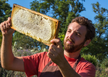 Nougaterie Silvain : visitez les coulisses de l’entreprise familiale