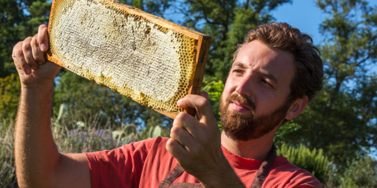 Nougaterie Silvain : visitez les coulisses de l’entreprise familiale
