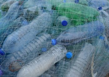 Avignon et la CNR s’engagent contre le plastique dans les fleuves et les rivières