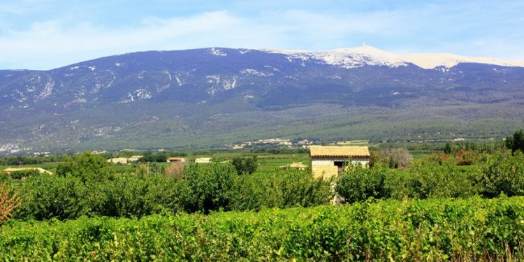 L’agence de l’eau Rhône Méditerranée Corse prête à rémunérer les agriculteurs