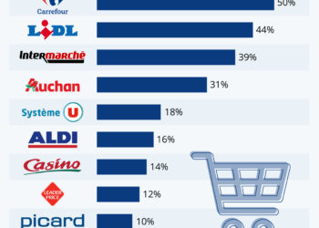 Les enseignes de grande distribution les plus fréquentées
