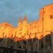 Un apéro après une visite du Pont Saint-Bénézet et du Palais des papes ça vous tente ?