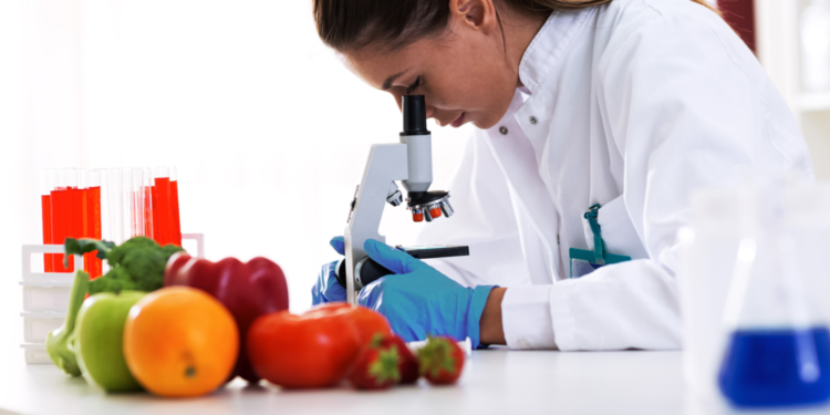 Innov’Alliance succède à Terralia