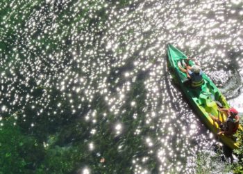 Le Syndicat mixte du bassin des Sorgues sensibilise le public en bords de Sorgues