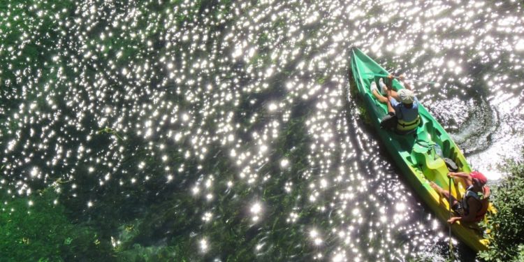 Le Syndicat mixte du bassin des Sorgues sensibilise le public en bords de Sorgues