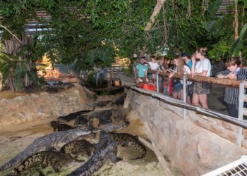Ferme aux Crocodiles à Pierrelatte : bienvenue à la Réserve tropicale