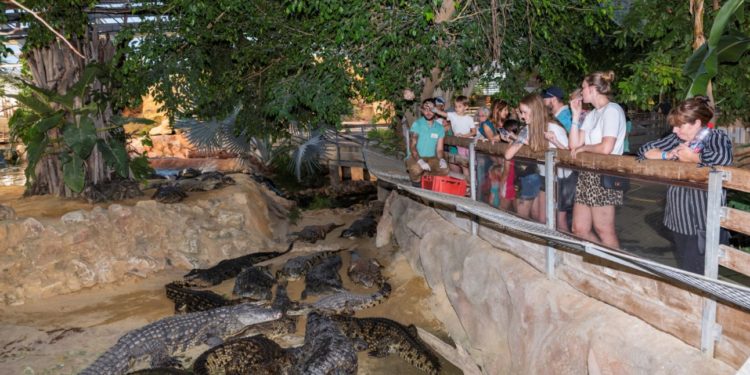 Ferme aux Crocodiles à Pierrelatte : bienvenue à la Réserve tropicale