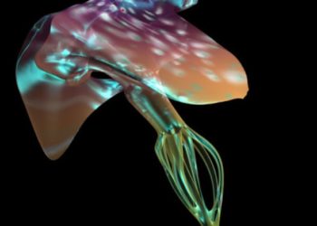 Avignon, L’Ardenome, ancien Grenier à sel, présente, dans le cadre des Mutalogues, Le cabinet de curiosité de Louis Bec