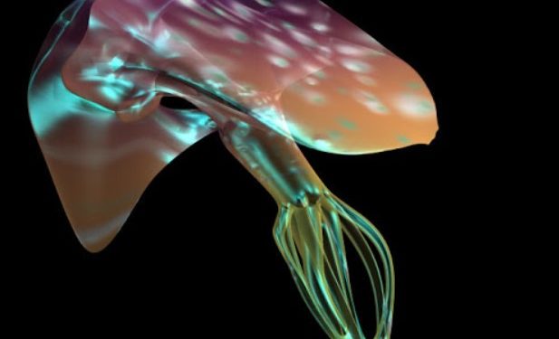 Avignon, L’Ardenome, ancien Grenier à sel, présente, dans le cadre des Mutalogues, Le cabinet de curiosité de Louis Bec