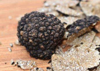 Assiettes truffées et verres de vin du vigneron à Carpentras