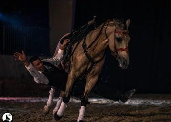 Apt : deux nouveaux cabarets équestres aux Écuries IRSEA