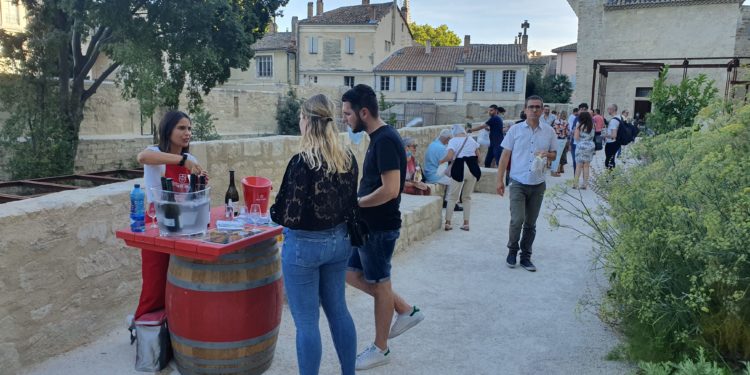 Avignon : et si vous preniez un verre de vin dans les jardins des papes cet été ?