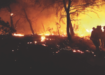 Vaucluse : les pompiers ont toujours le feu sacré
