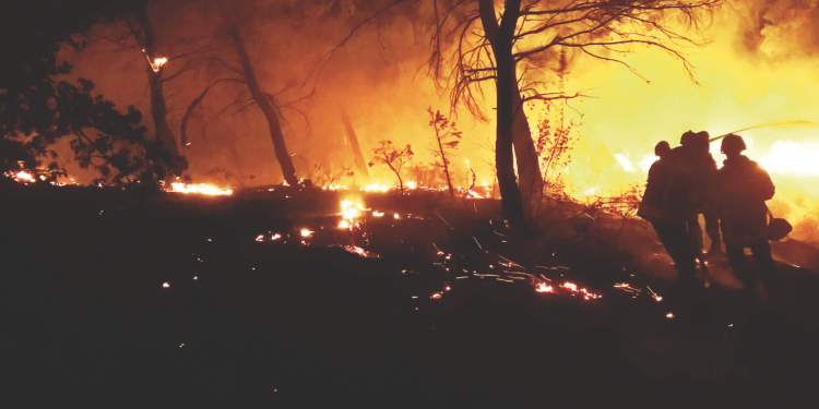 Vaucluse : les pompiers ont toujours le feu sacré