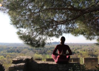 Oasis de verdure et de sérénité au Jardin de l’Abbaye à Villeneuve-lès-Avignon