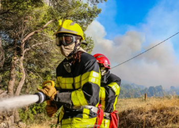 Le feu détruit 133 hectares de forêt entre Faucon et Saint-Romain-en-Viennois