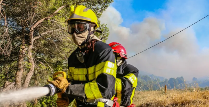 Le feu détruit 133 hectares de forêt entre Faucon et Saint-Romain-en-Viennois