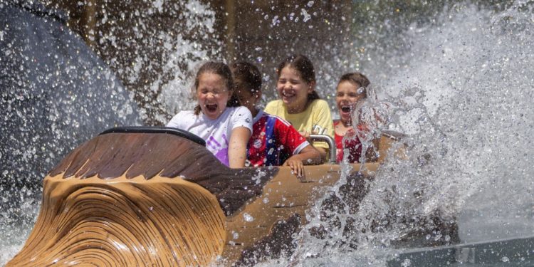 Monteux : le parc Spirou résiste bien