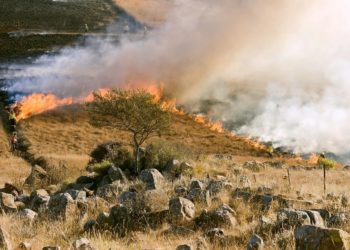 Risque incendie : limitation de l’accès et de la circulation dans les massifs forestiers du Sud du département ce jeudi 27 août